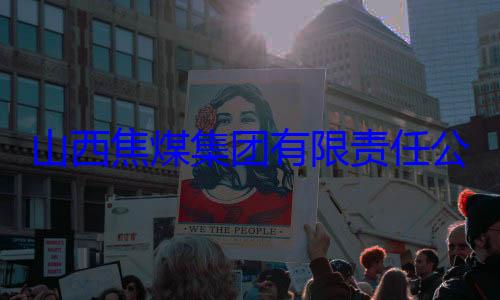 团有限责任经理杨新华接受审查调山西焦煤集公司原副总查